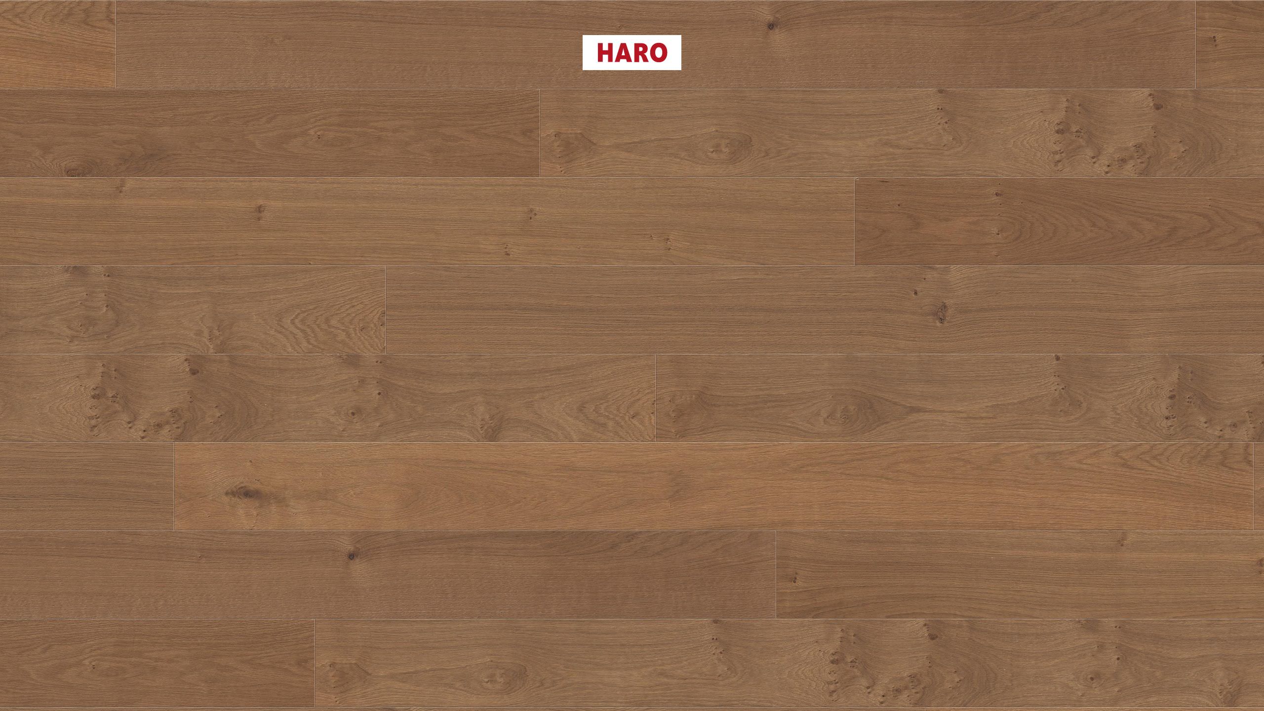 Haro - Markant spazzolato - immagine 4