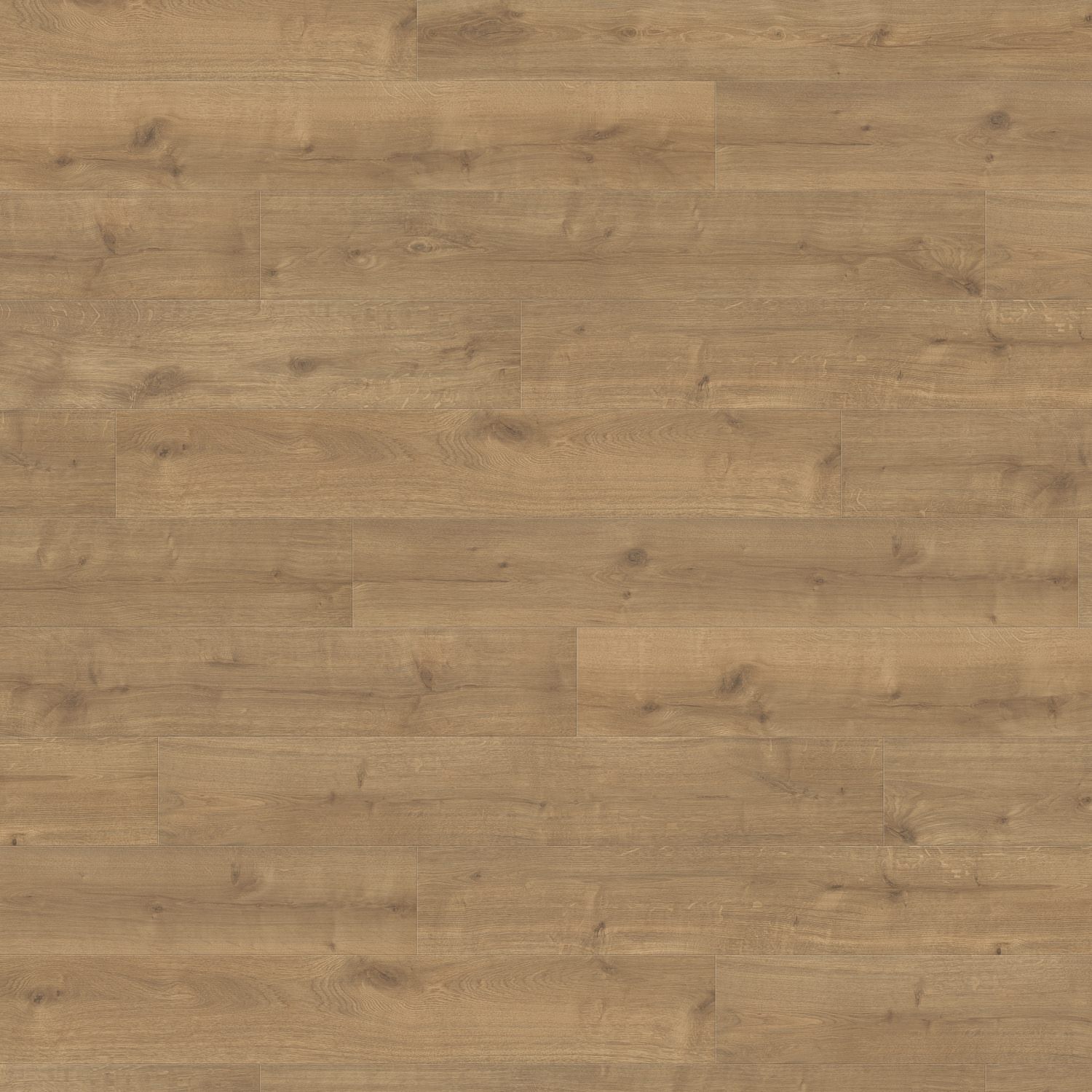 Haro - 4B Rovere Savona natur - immagine 2