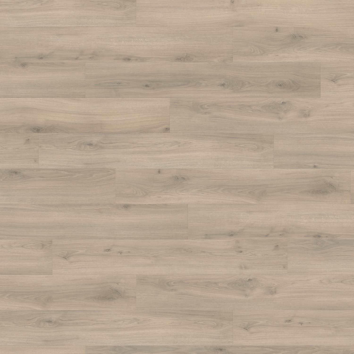 Haro -  Rovere Emilia - immagine 3